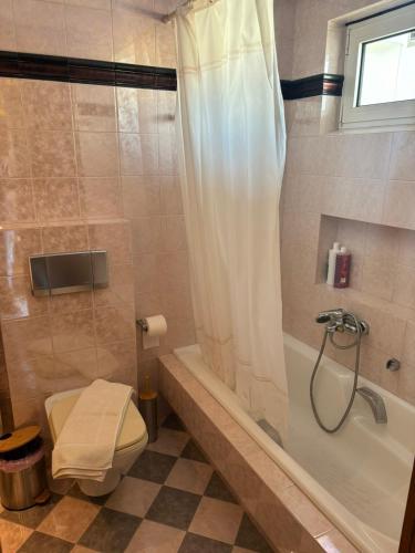 a bathroom with a tub and a toilet and a shower at Country Escape in Volos