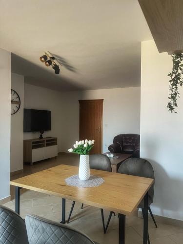 TV a/nebo společenská místnost v ubytování Apartman Ćosić