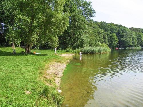 two people standing on the shore of a body of water at Ferienhaus am Dümmer See, Perlin in Perlin