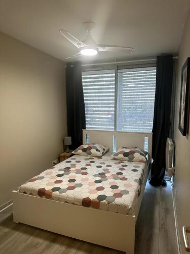 - une chambre avec un lit avec une couette et 2 fenêtres dans l'établissement Appart Lumineux 2ch proche Près d'Arènes avec wifi tv et patio, à Montpellier