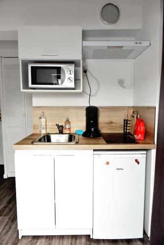 une cuisine avec un évier et un micro-ondes dans l'établissement Magnifique studio, à Valenciennes