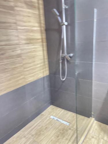 a shower with a glass door in a bathroom at New Gudauri Twins in Gudauri