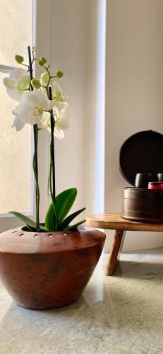 a vase with a white flower in it at Goethe House in old town Zürich in Zürich