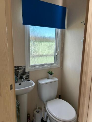 a bathroom with a toilet and a sink and a window at 24 The Beeches Caravan Park in Gilcrux