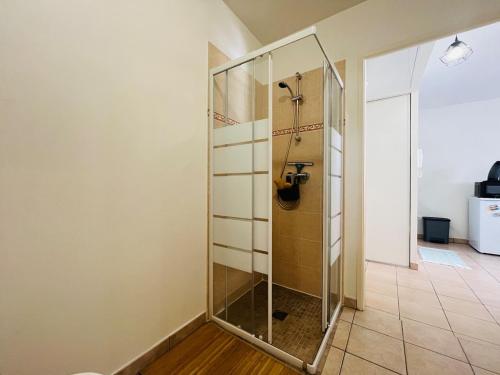 La salle de bains est pourvue d'une douche avec une cloison en verre. dans l'établissement Coeur de Nice, à Nice