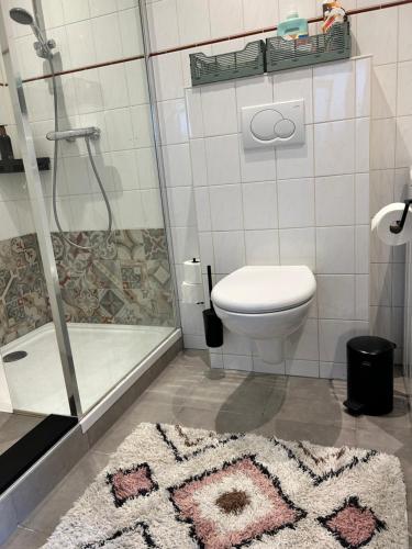 a bathroom with a shower and a toilet and a rug at Appartement Sluyterman in Jorwerd