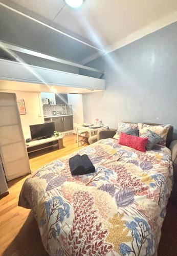 Le Roquet - Appartement hyper centre Laval