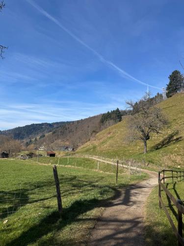a dirt road in a field with a fence at Traumurlaub in Sicht! 77qm Familiendomizil in Münstertal