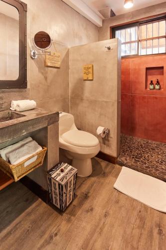 a bathroom with a toilet and a sink and a shower at Finca Boutique el Diamante in Salgar