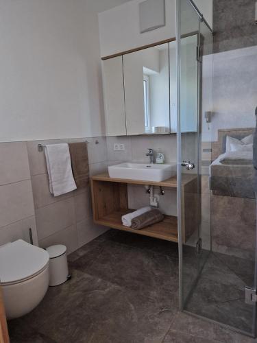 a bathroom with a sink and a toilet at Apartment Bergland in Sankt Johann im Pongau