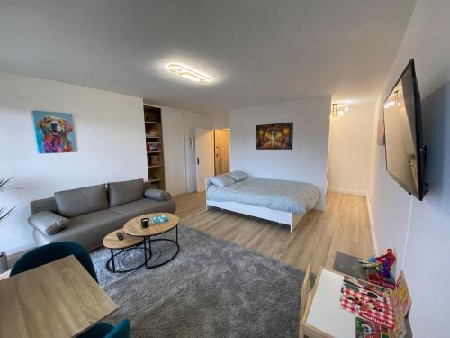 un salon avec un canapé et un lit dans l'établissement Beautiful double apt family babyfoot 2 parking, à Nancy