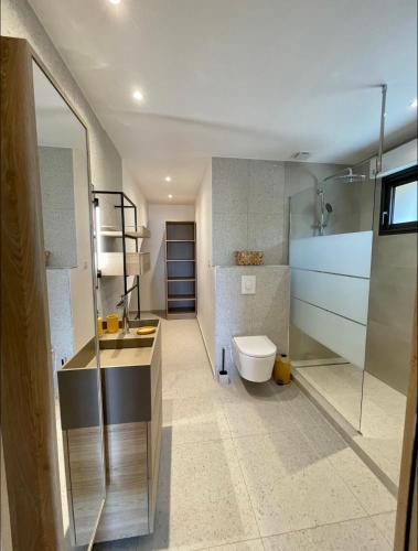 une salle de bain avec toilettes, lavabo et douche dans l'établissement Maison chaleureuse accès privé à la plage, à Olmeto