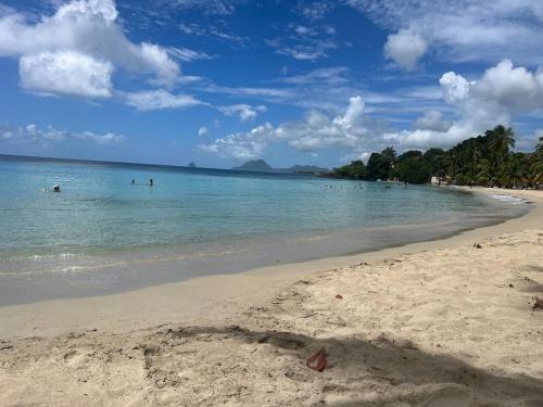 a beach with people swimming in the water at Studio Tibiscus - Riviere Salée in Médecin