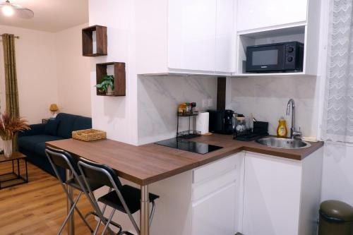 La cuisine est équipée d'un plan de travail, d'un évier et d'un four micro-ondes. dans l'établissement Cozy studio near Paris, à Maisons-Alfort