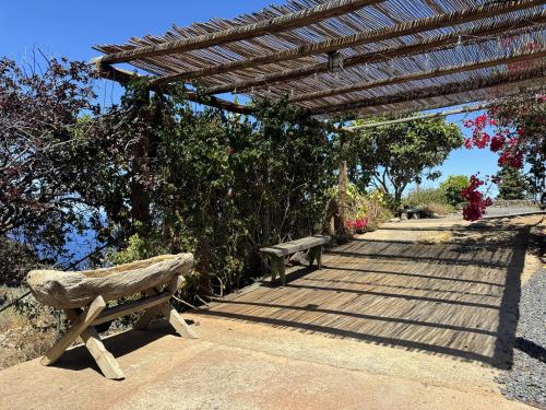 dos bancos de parque sentados bajo una pérgola de madera en Casa Las Martina, en La Verada