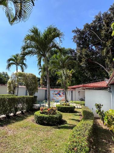 Un jardín fuera de Thompson House