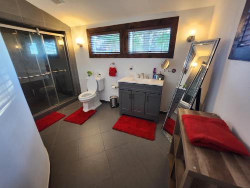 a bathroom with a toilet and a shower and a sink at little cozy house in a village in Mountain Dale
