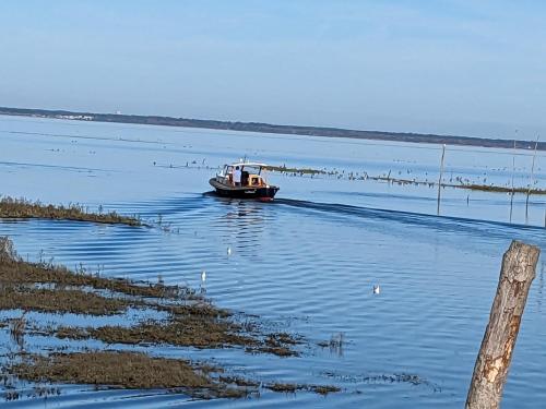 Photo de la galerie de l'établissement Charmante Maison Bassin d 'Arcachon, à Gujan-Mestras