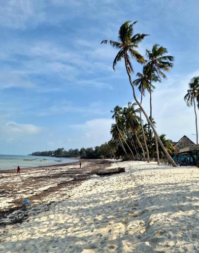 a beach with two palm trees and the ocean at Zanzibar - Villa Sumo apartment - Kiwengwa in Kiwengwa