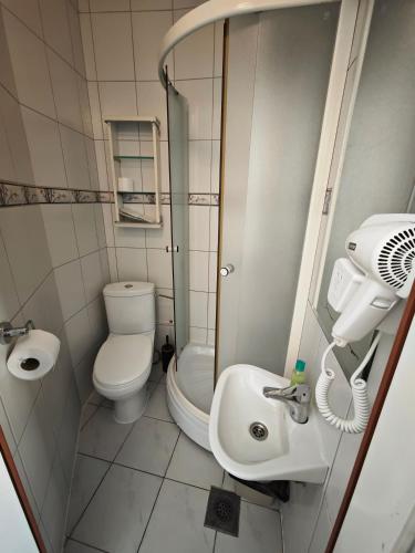 a small bathroom with a toilet and a sink at Guesthouse Yildiz in Sarajevo