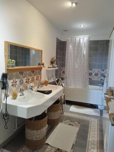 une salle de bain avec un lavabo et une douche dans l'établissement Charmant appartement Le Coteau - Roanne, à Le Coteau