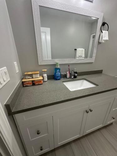 a bathroom counter with a sink and a mirror at Executive Home in Windsor close to the airport in Windsor