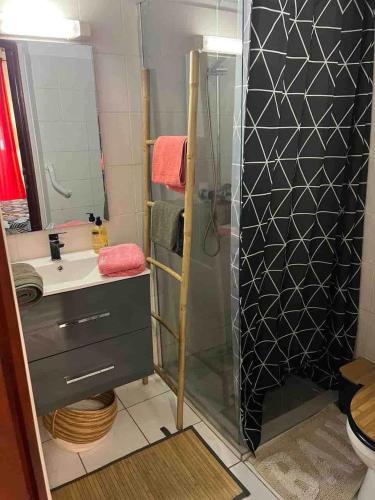 une salle de bain avec douche et lavabo dans l'établissement Poupeye, à Sainte-Anne