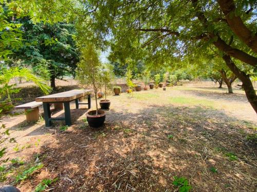 a picnic table in a park under a tree at Mintys Folly 2 in Ban Man
