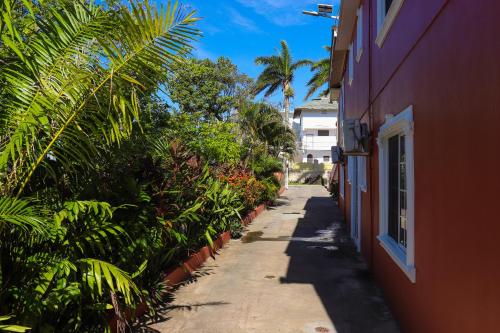 an empty alley with palm trees and a building at Paradise On The Rocks Hotel in Negril