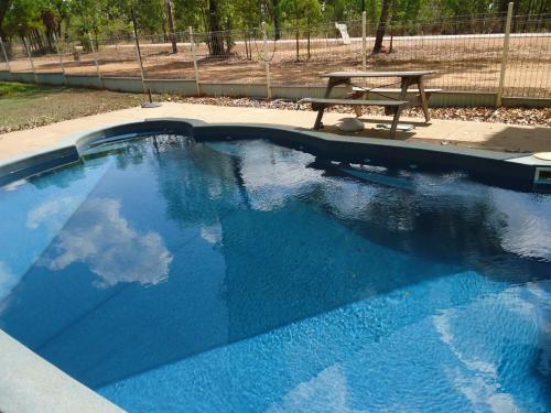 - une grande piscine bleue avec une table de pique-nique dans l'établissement Pandanus on Litchfield, à Batchelor