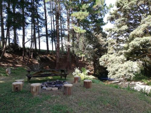 a park with a picnic table and a fire pit at Old Mountain Road Retreat in Raglan