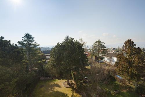 a view of a park with trees and a bike at Pension Garden in Vienna