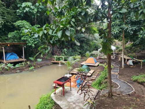 a garden with a pond with a table and a bench at Villa Robert in Pineleng