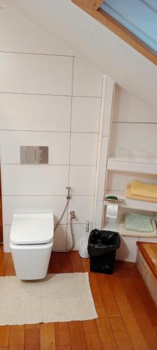 a bathroom with a white toilet in a room at Chambre d'Hôte Villa Maritampona in Antsirabe