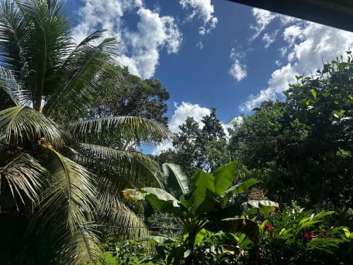 a view of the jungle with palm trees and a blue sky at Apartment-Pura Vida-wi-fi-6 people, AC- parking-river-garden in Fortuna