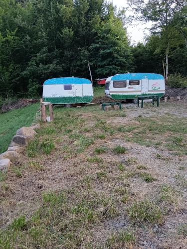 two trailers are parked in a field with trees at Wild Camping Albareto in Albareto