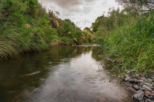 Rangataua Kowhai Tiny Home