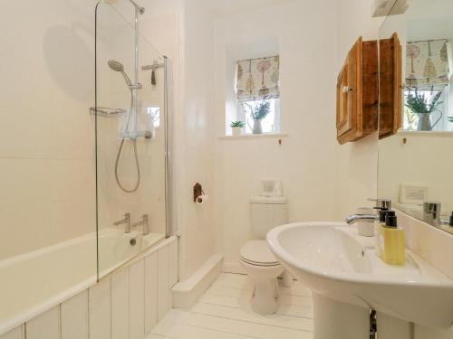 a bathroom with a sink and a toilet and a shower at Clamoak Cottage in Yelverton
