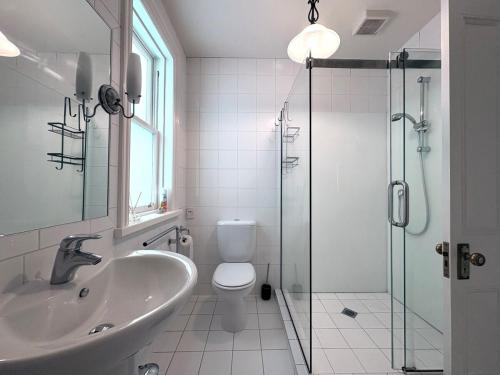a bathroom with a toilet and a sink and a shower at A Central City Historic Escape in Wellington