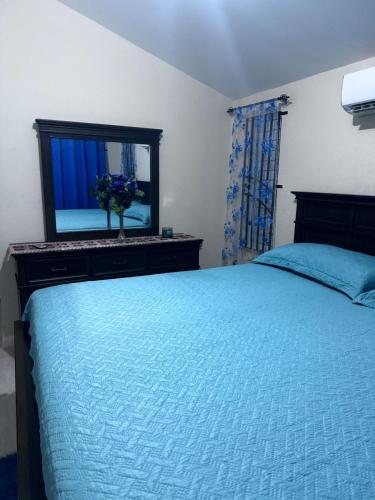 a bedroom with a bed with a dresser and a mirror at Ts Staycation in Spanish Town