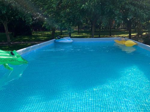 a swimming pool with a toy shark and two people in it at Séjourner au cœur de la nature entre Tours et Angers - FR-1-622-101 in Saint-Philbert-du-Peuple