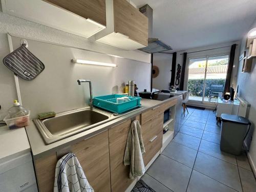 une cuisine avec un évier et un plan de travail dans l'établissement Studio confortable 4 pers à 2 pas du port avec terrasse - FR-1-225D-221, à Saint-Cyprien