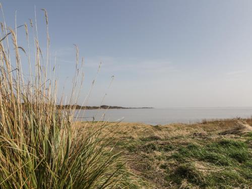 a field of grass with the ocean in the background at 7 Cummertrees in Annan