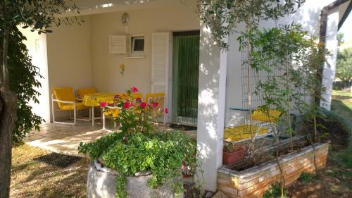 Apartment Free Parking Big Garden