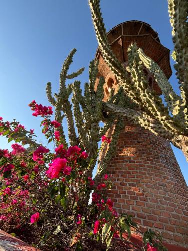 a cactus and flowers in front of a brick building at Casa Rodante Roca Azul in Jocotepec