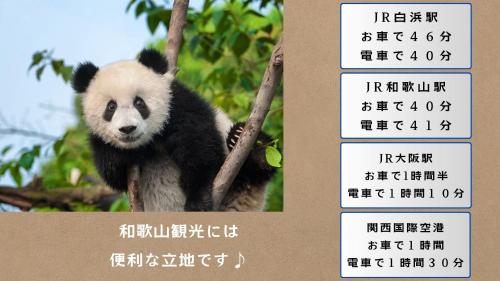 a picture of a panda bear sitting on a tree at ホテルグリーンヒル美浜 in Mihama