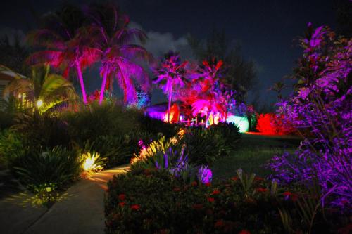 a garden lit up at night with colorful lights at Blue Horizon Boutique Resort in Vieques
