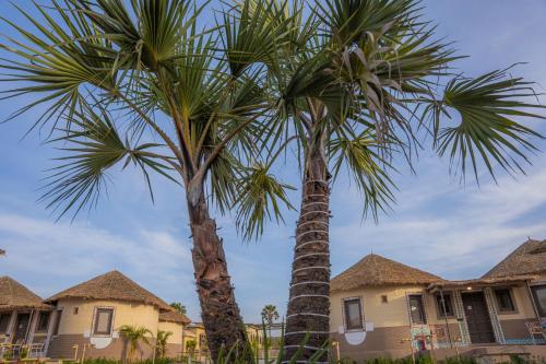 Gallery image of The Fern Seaside Luxurious Tent Resort Diu in Diu
