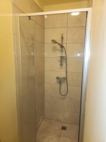 un bagno con box doccia e porta a vetri. di The White House a Tokoroa