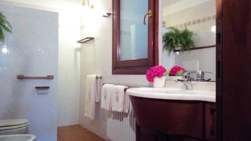 a bathroom with a sink and a toilet and a mirror at Comfortable house - garden and parking in Farra di Soligo